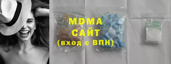 индика Инта