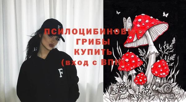 первитин Новозыбков